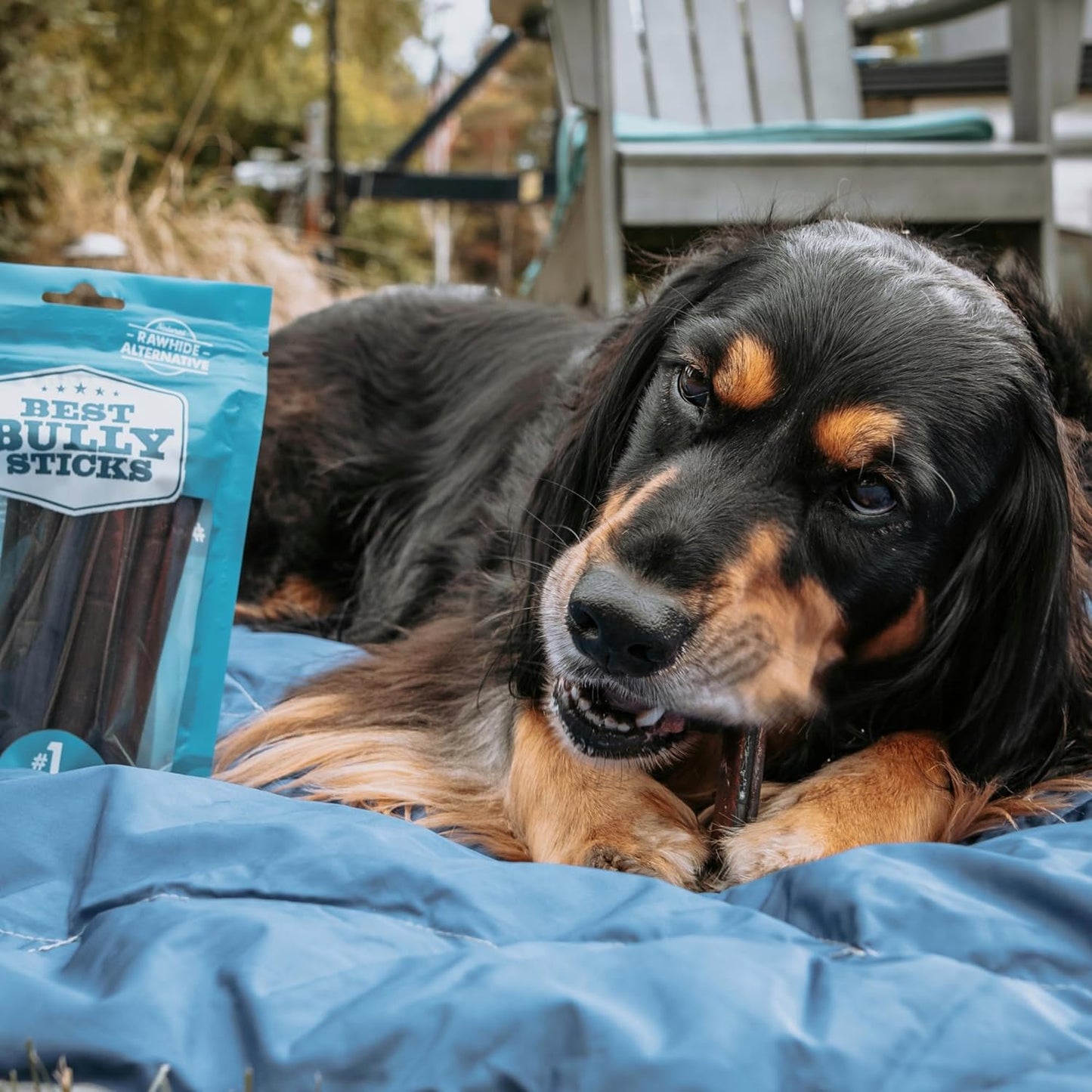 All Natural Dog Chews - 6 Inch Beef Collagen Sticks - USA Baked & Packed - Highly Digestible, Limited Ingredient, Rawhide Alternative Dog Chew - 5 Pack
