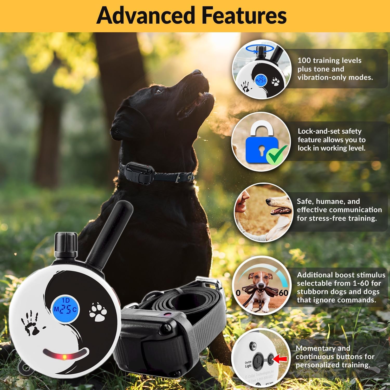 E-Collar Humane Dog Training Collar with Remote, 100 Safe Tapping Stimulation Levels, Night Light, Waterproof, Rechargeable, 1/2 Mile 1 Small-Medium Dog, Zen