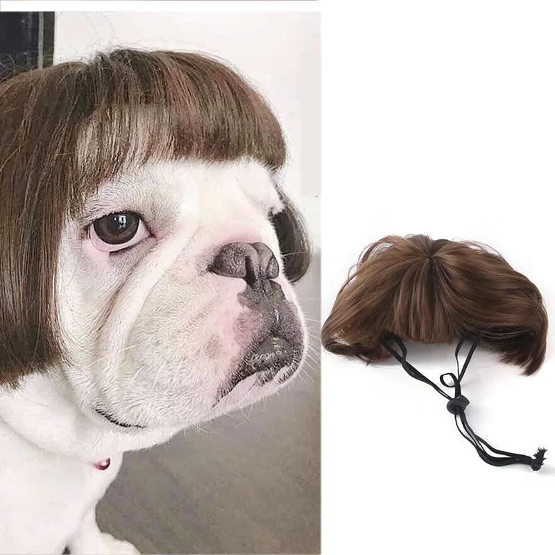 Pet Wigs Cosplay Props Dog Cat Cross-Dressing Hair Set Photography Funny Props Head Accessories Prank Pet Supplies Costumes DIY