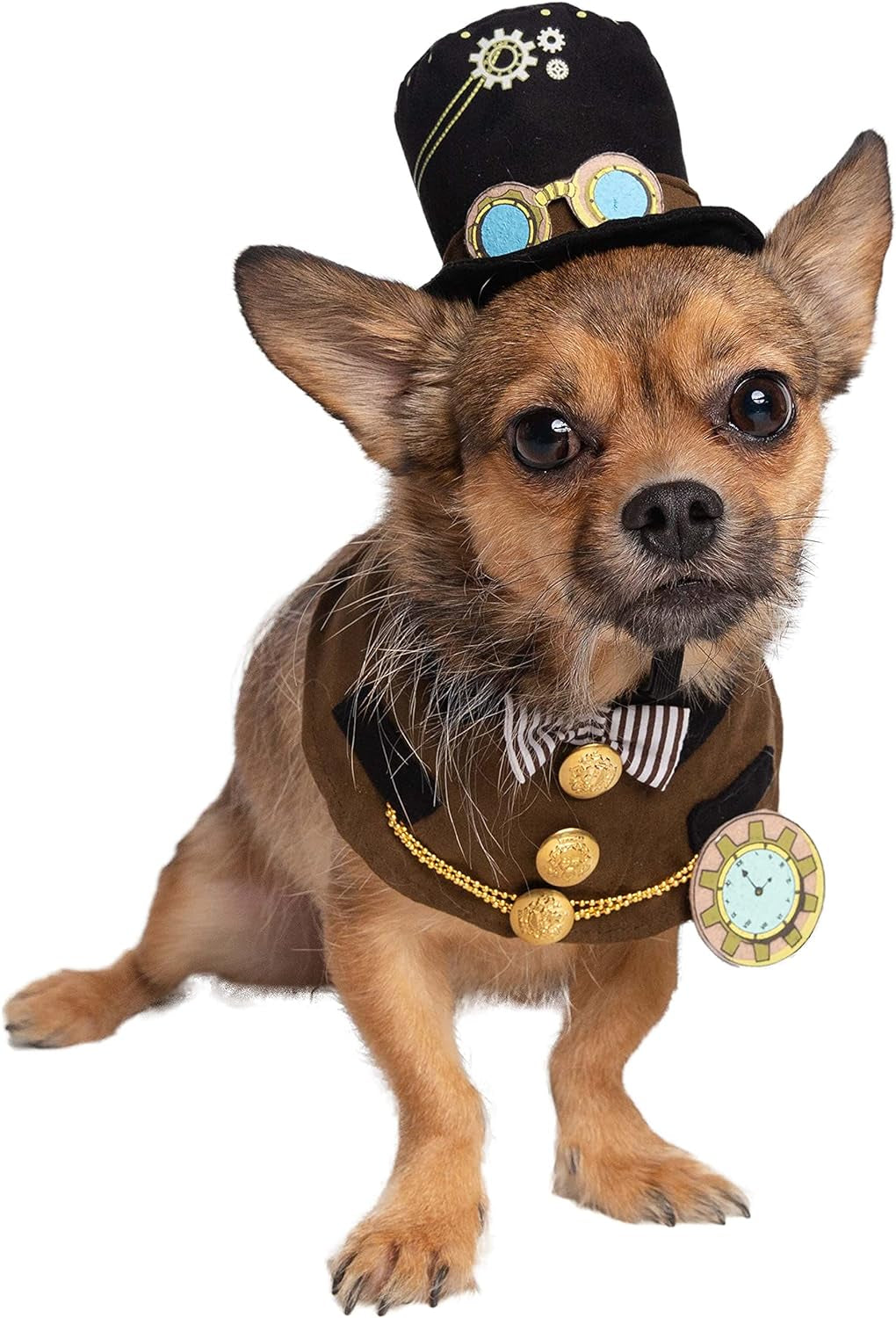 Steam Punk Pet Costume